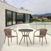    T282ant/y137c-w56 Light Brown