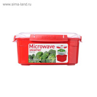  Sistema Microwave, 3.2 