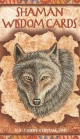  : Shaman Wisdom Cards