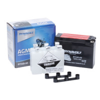  Dynavolt Dtx4b-bs, 12v, Agm, , 30 A, 113  39  85