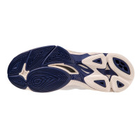    Mizuno Wave Lightning Z7 Mid V1ga2250 43,  12 Us