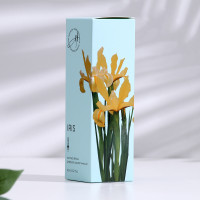  ,  "Iris", , 60 