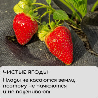  , 5 0.8 ,  80 / ,  -, , Greengo,  30%