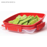   Sistema Microwave, 880 