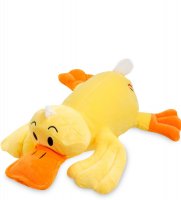 Pt- 31 ������