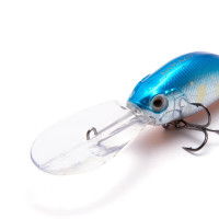  Namazu Guttatus, L-65 , 15 , , , 3.5-5.0 ,  11