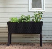  Keter Easy Grow,  