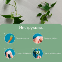 ��������� ��� �������� ��������, �������������, ��������, ����� 10 ��., Greengo