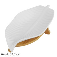  35,5   Bamboo  .. ,
