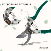  , 8 (20 ),  , Greengo