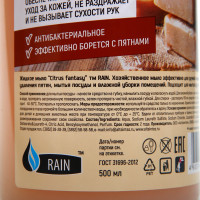   Rain    500 