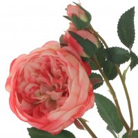 ������ ������������� ����, L19 W14 H65 ��, 4�.