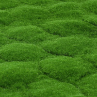  , ,  1 1 , , , , Greengo