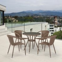    T282ant/y137c-w56 Light Brown 4pcs