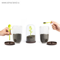     Sprout Jar, 700 