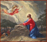 ������� � ����, ����� (���.04696)