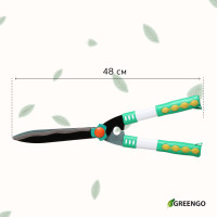 , 19 (48 ),   , Greengo