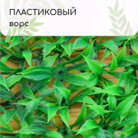  , 25 25 , , Greengo