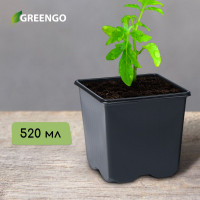   , 520 , 9 9 8 , , Greengo