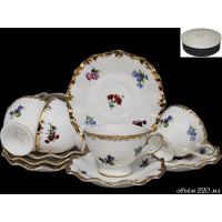 ������ ����� Lenardi ��������, 12 ���������