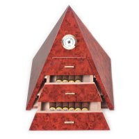   50 .  Aficionado () ,  
