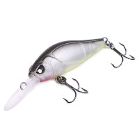  . Lj Pro Series Anira Lbsp, 3.9 ,  403