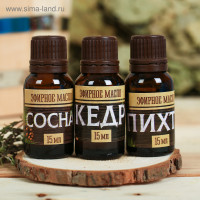 ����� 3 ������� ����� 15 �� �������� ������� �����, ����, �����