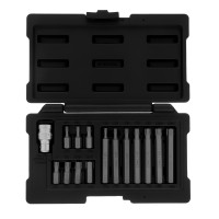   Torx, -, 10 , Crv, 15  Stels