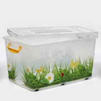      hide Box. , 50 , 60x38x31 ,  , 