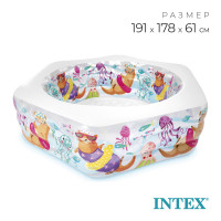    , 191  178  61 ,  6 , 56493np Intex