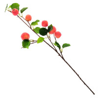 ����� ������������� ������, L24 W10 H75 ��