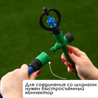  , 29 ,  , , , Greengo