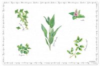    Herbarium, 4530 
