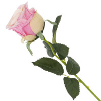      , L9 W8 H51 