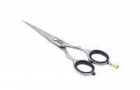   Basic Step     5 Dewal 4444/5n