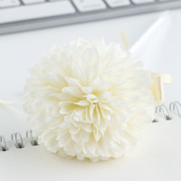 ����� ������, ���������, ����� �����, 1.0 ��, ���������� � ������� ������ ������