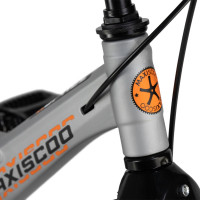  14 Maxiscoo Space Deluxe Plus,   