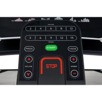    Titanium Masters Physiotech Tlf