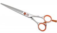   Orange  6,5 Tayo Tq55065