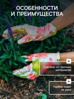  , ,   ,  8,  , , Greengo