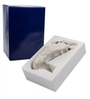 Cms-15/11   (pavone)