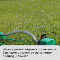 ����������� �����������, ��� ���������, ������, �������, Greengo