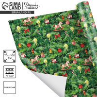 ����������� ������ ����������� ����, 70 � 100 ��, ���������