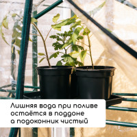   :   500  (8 .),  40   20 , , Greengo