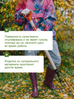  , D=30 ,  120 ,  , Greengo