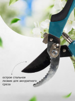  , 9 (23 ),   , Greengo