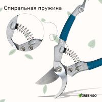 , 8 (20 ), C  , Greengo