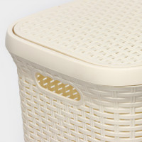 ������� �������� � �������, 60 �, 34x44x56 ��, ���� �������� �����