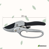  , 8 (20 ),   ,  , Greengo