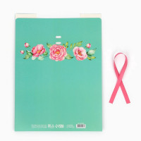 ������� ����������, ��������, ����� �� ��������, 31 � 24.5 � 8 ��